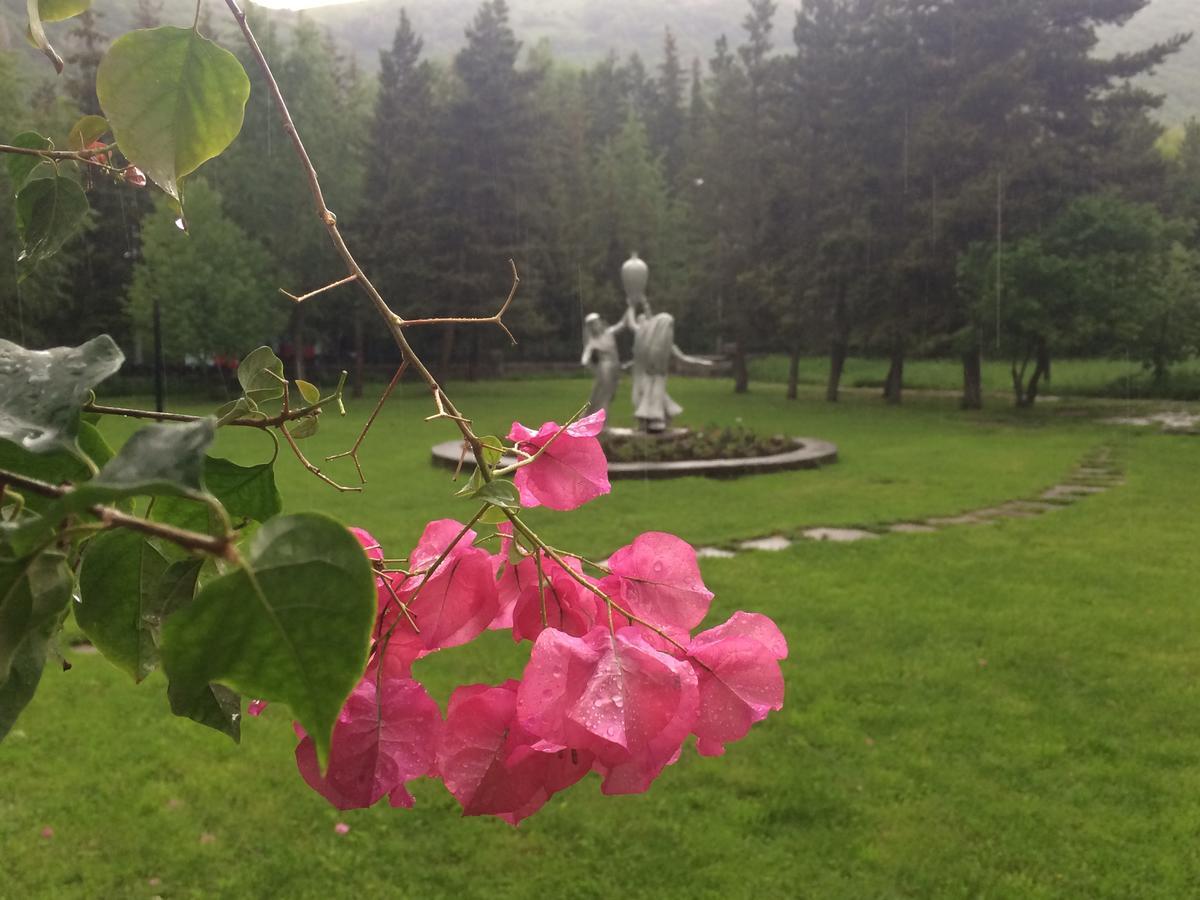 Jermuk Olympia Sanatorium Hotel Exterior foto